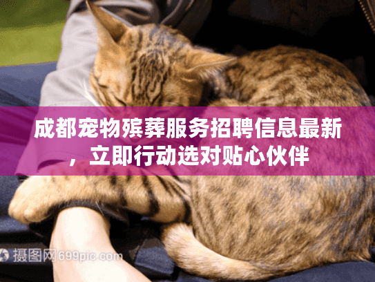 成都宠物殡葬服务招聘信息最新，立即行动选对贴心伙伴