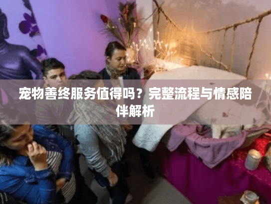 宠物善终服务值得吗？完整流程与情感陪伴解析