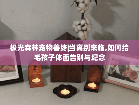 极光森林宠物善终|当离别来临,如何给毛孩子体面告别与纪念