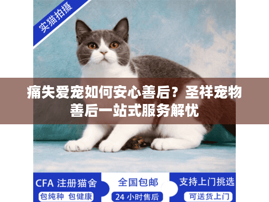 痛失爱宠如何安心善后？圣祥宠物善后一站式服务解忧