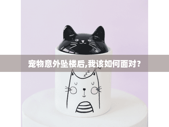 宠物意外坠楼后,我该如何面对？