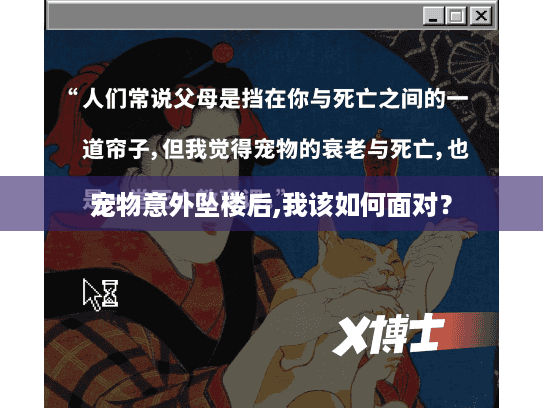 宠物意外坠楼后,我该如何面对？