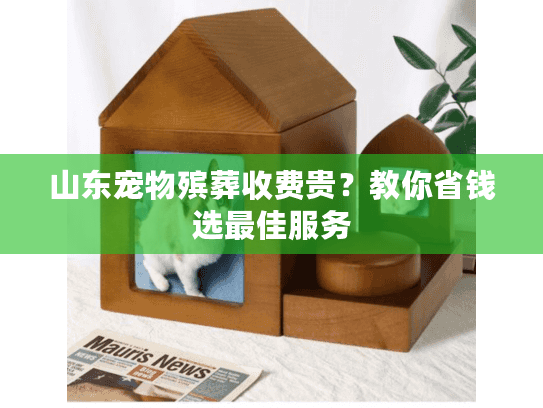 山东宠物殡葬收费贵？教你省钱选最佳服务