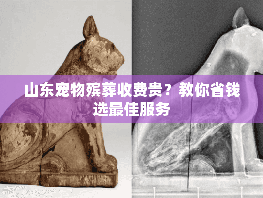 山东宠物殡葬收费贵？教你省钱选最佳服务