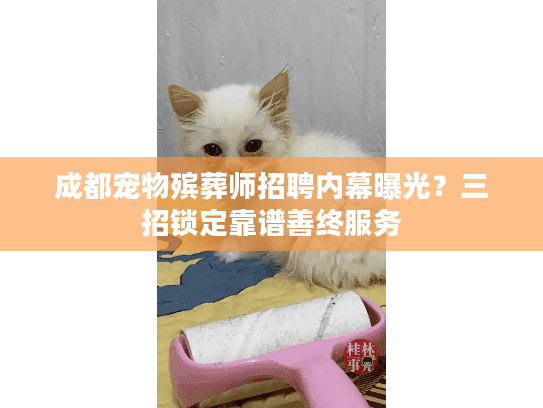 成都宠物殡葬师招聘内幕曝光？三招锁定靠谱善终服务