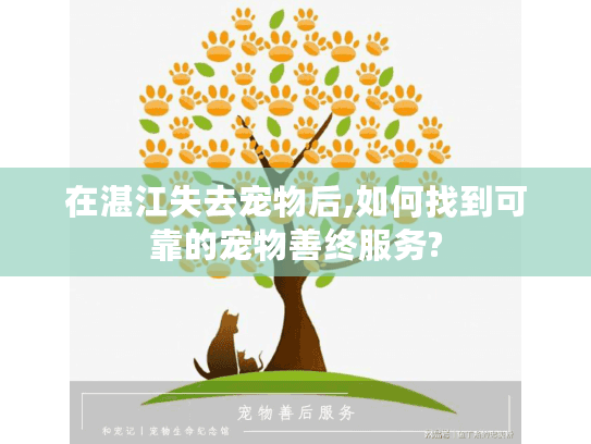 在湛江失去宠物后,如何找到可靠的宠物善终服务?