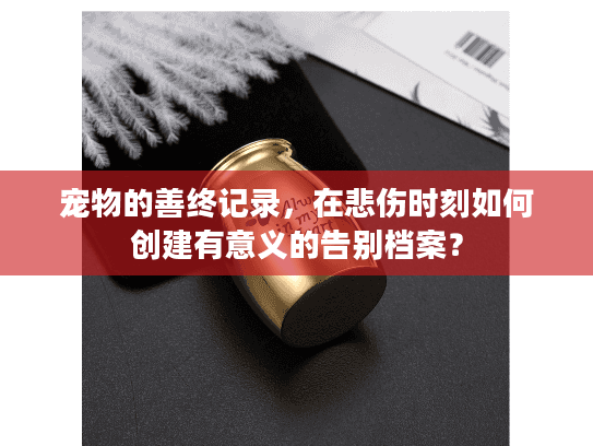 宠物的善终记录，在悲伤时刻如何创建有意义的告别档案？
