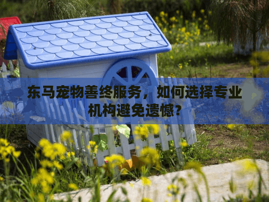 东马宠物善终服务，如何选择专业机构避免遗憾？