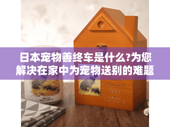 日本宠物善终车是什么?为您解决在家中为宠物送别的难题