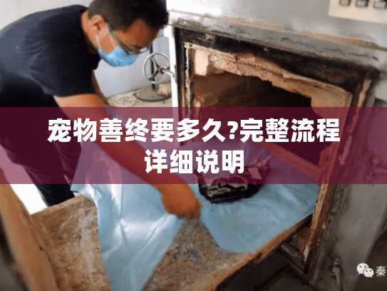 宠物善终要多久?完整流程详细说明