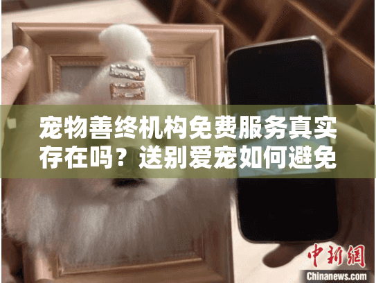 宠物善终机构免费服务真实存在吗？送别爱宠如何避免隐形消费