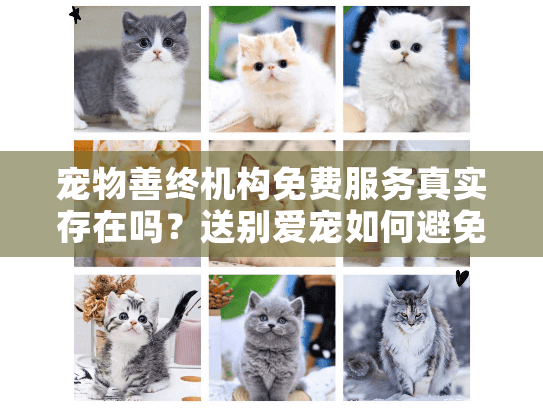 宠物善终机构免费服务真实存在吗？送别爱宠如何避免隐形消费