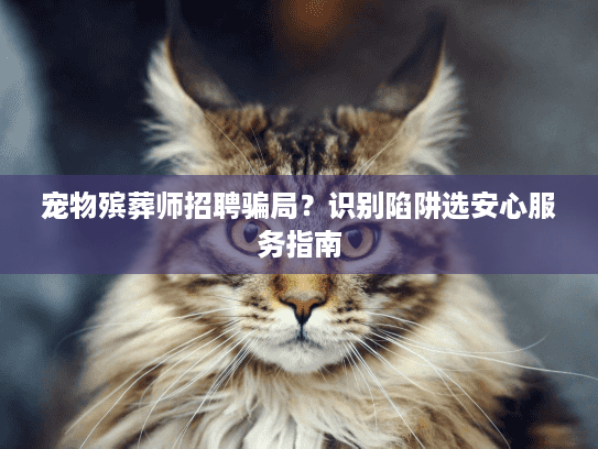 宠物殡葬师招聘骗局？识别陷阱选安心服务指南
