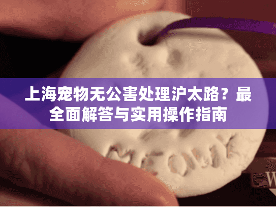 上海宠物无公害处理沪太路？最全面解答与实用操作指南