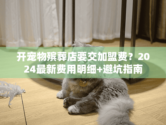 开宠物殡葬店要交加盟费？2024最新费用明细+避坑指南