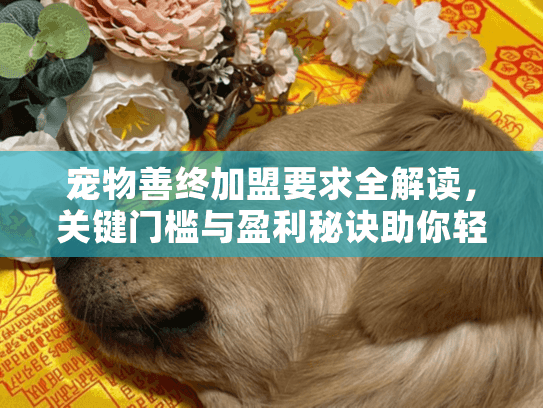 宠物善终加盟要求全解读，关键门槛与盈利秘诀助你轻松起步
