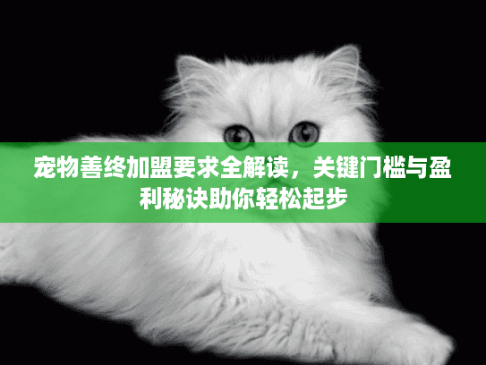 宠物善终加盟要求全解读，关键门槛与盈利秘诀助你轻松起步