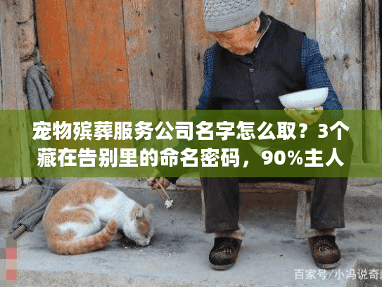 宠物殡葬服务公司名字怎么取？3个藏在告别里的命名密码，90%主人没看懂