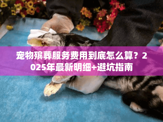 宠物殡葬服务费用到底怎么算？2025年最新明细+避坑指南