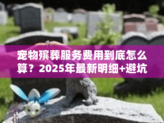 宠物殡葬服务费用到底怎么算？2025年最新明细+避坑指南