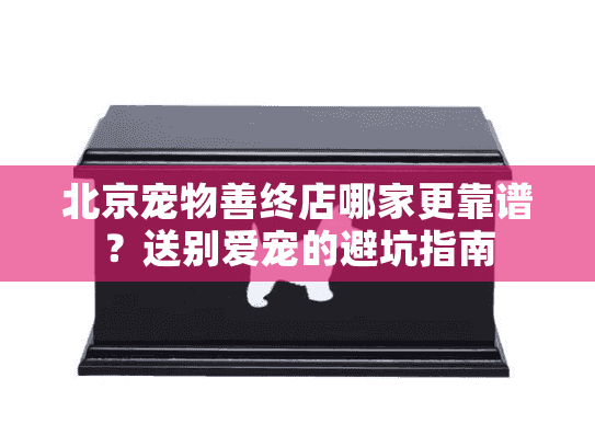 北京宠物善终店哪家更靠谱？送别爱宠的避坑指南