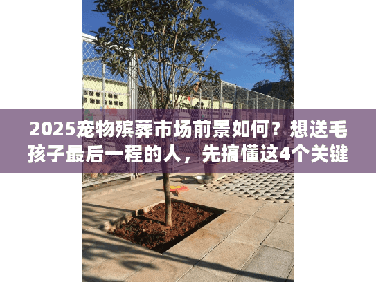 2025宠物殡葬市场前景如何？想送毛孩子最后一程的人，先搞懂这4个关键信号
