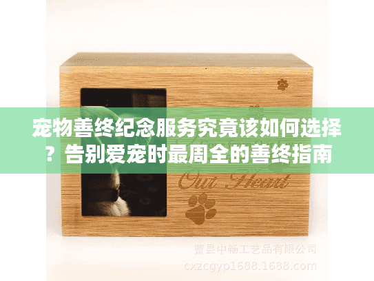 宠物善终纪念服务究竟该如何选择？告别爱宠时最周全的善终指南