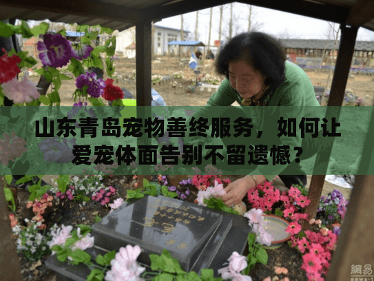 山东青岛宠物善终服务，如何让爱宠体面告别不留遗憾？