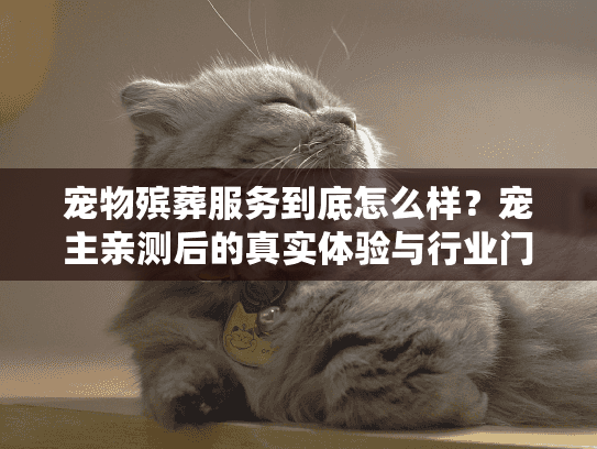 宠物殡葬服务到底怎么样？宠主亲测后的真实体验与行业门道全揭秘