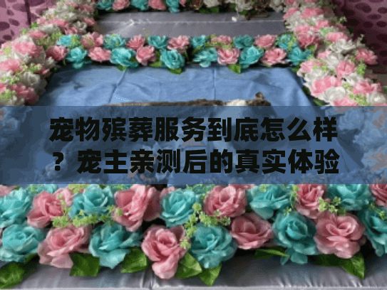 宠物殡葬服务到底怎么样？宠主亲测后的真实体验与行业门道全揭秘