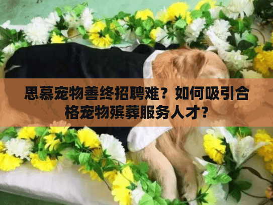 思慕宠物善终招聘难？如何吸引合格宠物殡葬服务人才？