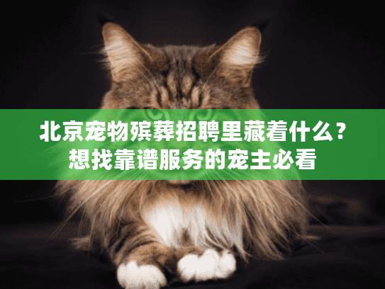 北京宠物殡葬招聘里藏着什么?想找靠谱服务的宠主必看 北京宠物殡葬招聘里藏着什么?想找靠谱服务的宠主必看