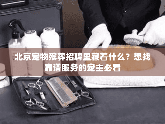 北京宠物殡葬招聘里藏着什么?想找靠谱服务的宠主必看 北京宠物殡葬招聘里藏着什么?想找靠谱服务的宠主必看