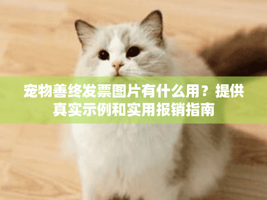 宠物善终发票图片有什么用？提供真实示例和实用报销指南