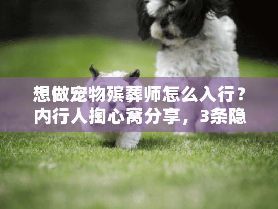 想做宠物殡葬师怎么入行?内行人掏心窝分享,3条隐性路径+2个必避坑 想做宠物殡葬师怎么入行?内行人掏心窝分享,3条隐性路径+2个必避坑