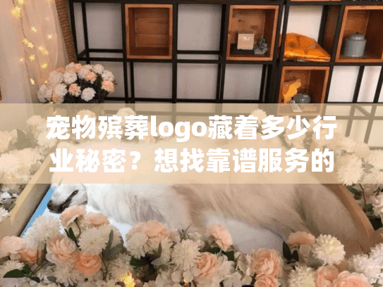 宠物殡葬logo藏着多少行业秘密？想找靠谱服务的宠主必看
