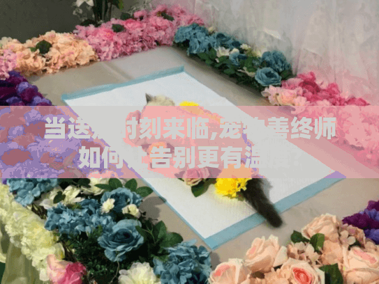 当送别时刻来临,宠物善终师如何让告别更有温度?