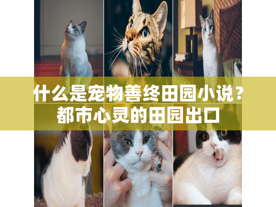 什么是宠物善终田园小说？都市心灵的田园出口