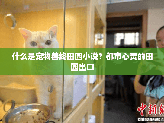 什么是宠物善终田园小说？都市心灵的田园出口