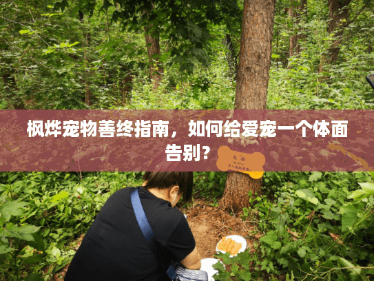 枫烨宠物善终指南，如何给爱宠一个体面告别？