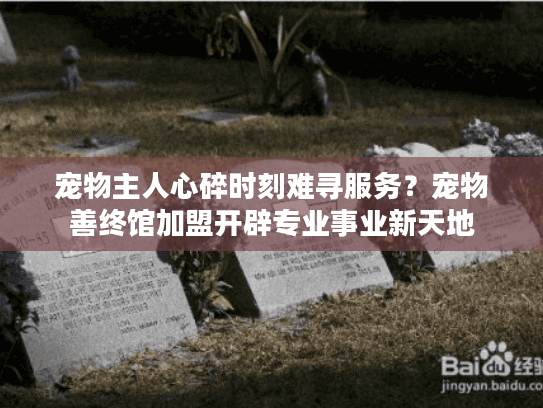宠物主人心碎时刻难寻服务？宠物善终馆加盟开辟专业事业新天地
