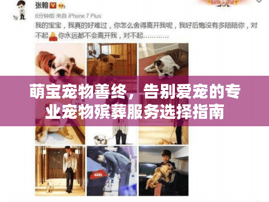 萌宝宠物善终，告别爱宠的专业宠物殡葬服务选择指南