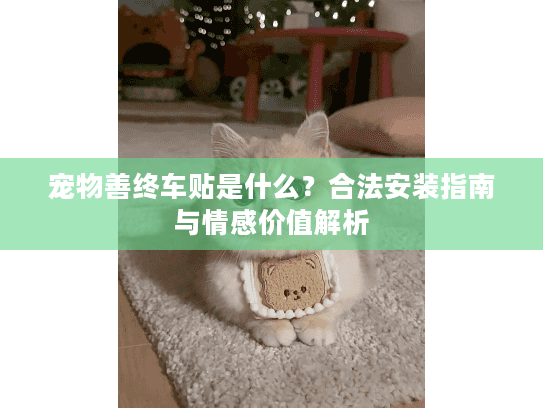 宠物善终车贴是什么？合法安装指南与情感价值解析