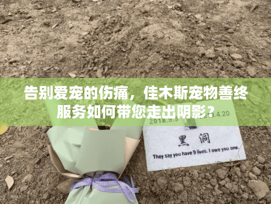 告别爱宠的伤痛，佳木斯宠物善终服务如何带您走出阴影？