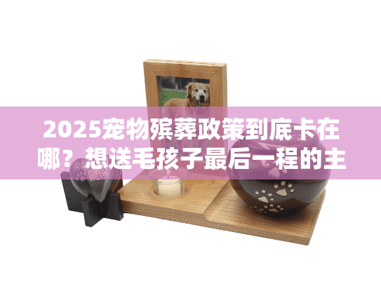 2025宠物殡葬政策到底卡在哪？想送毛孩子最后一程的主人必须看