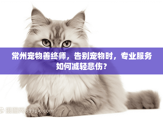 常州宠物善终师，告别宠物时，专业服务如何减轻悲伤？