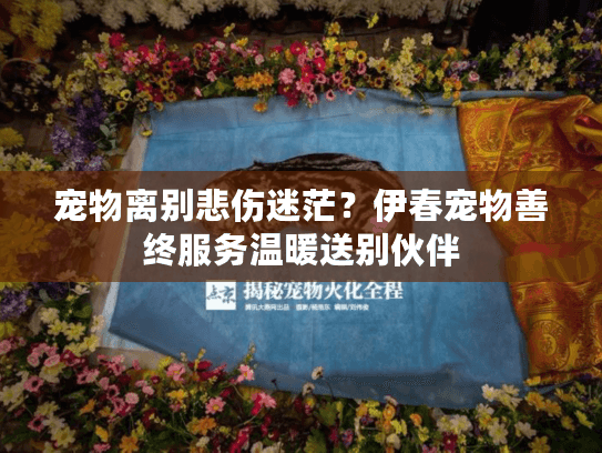 宠物离别悲伤迷茫？伊春宠物善终服务温暖送别伙伴