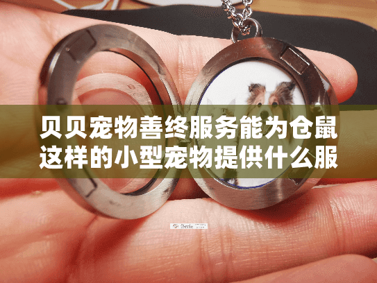贝贝宠物善终服务能为仓鼠这样的小型宠物提供什么服务?