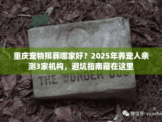 重庆宠物殡葬哪家好？2025年养宠人亲测3家机构，避坑指南藏在这里