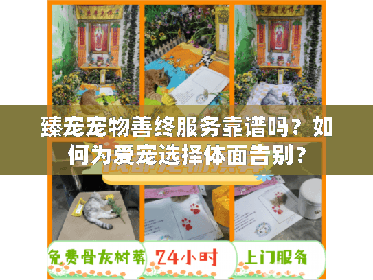 臻宠宠物善终服务靠谱吗？如何为爱宠选择体面告别？